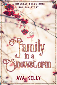 Cover of Family in a Snowstorm by Ava Kelly