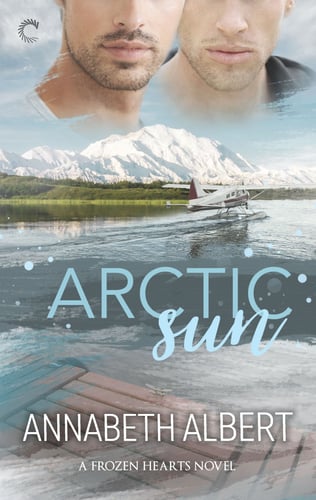Arctic Sun Cover