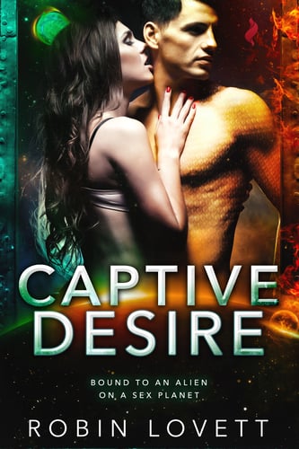 Captive Desire Cover